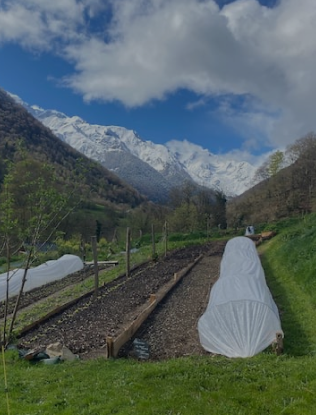 Siboire Pyrénées - photo 3